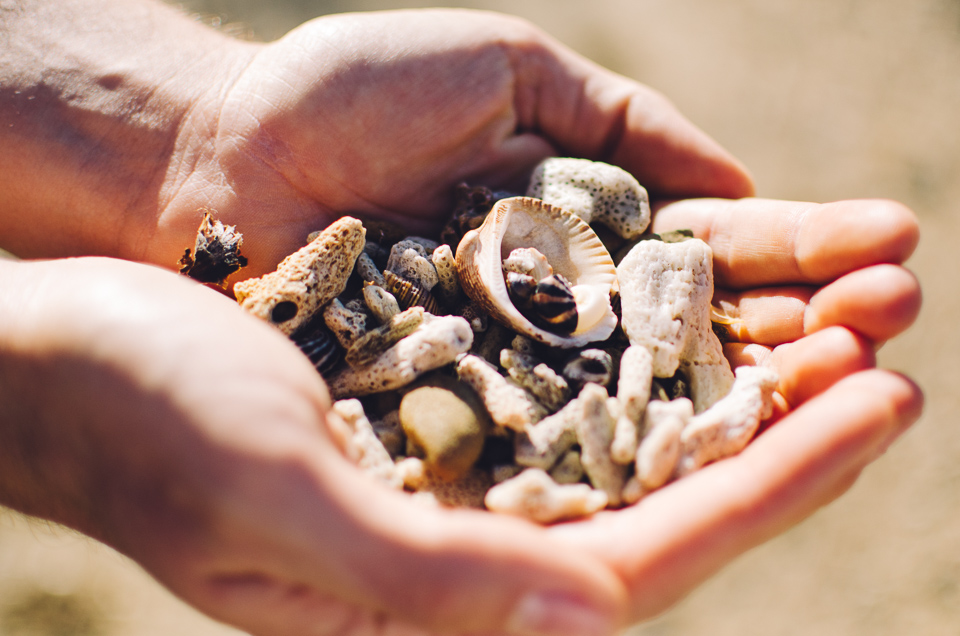 20150902-australien_blog_final-4