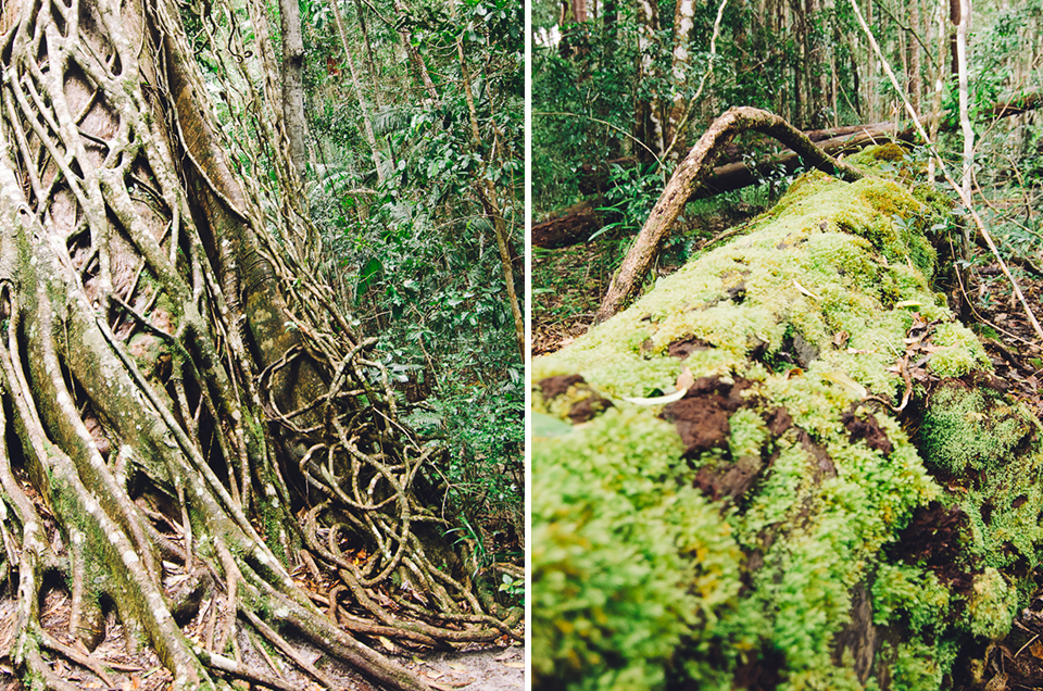 20150903-australien_blog_final-10_2