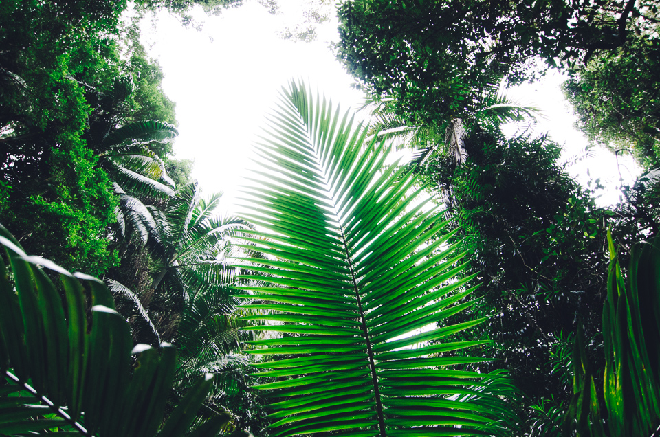 20150903-australien_blog_final-11