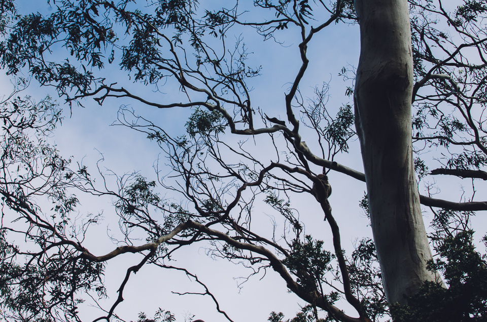 20150916-australien_blog_final-91