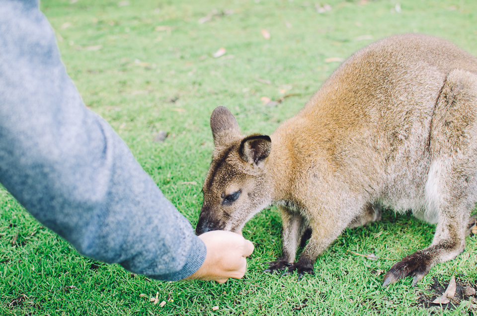 20150916-australien_blog_final-96